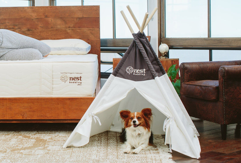 Nest Bedding Pet Tent - Nest Bedding® 